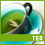 tea fanlisting