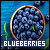 blueberries fanlisting