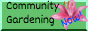community gardening NOW